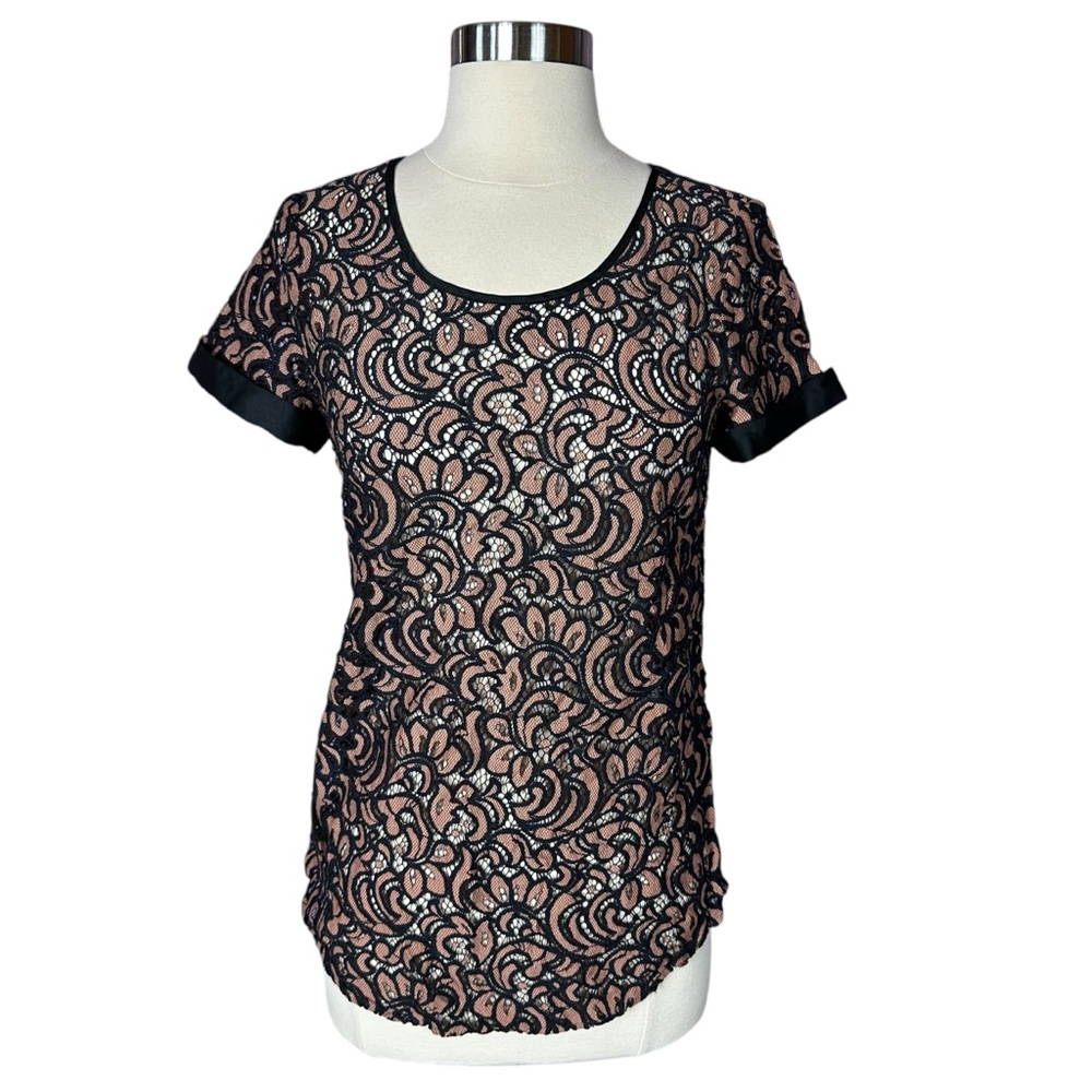 Express Black Brown Floral Lace Sheer Short Sleeve Scoop Neck Blouse Top Small